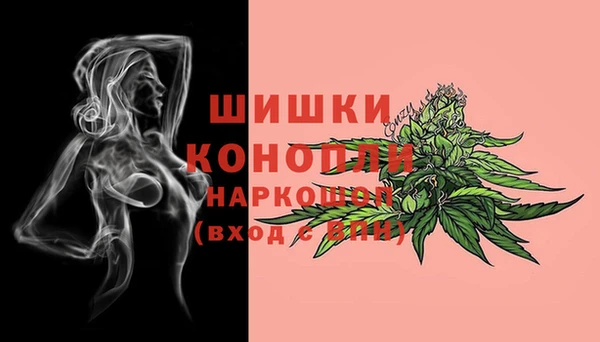 ешки Алексеевка