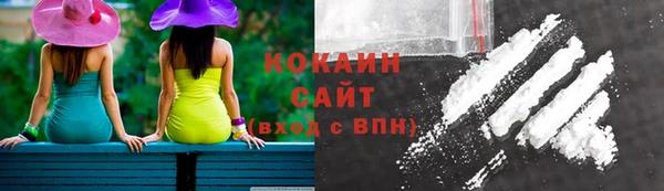 ешки Алексеевка