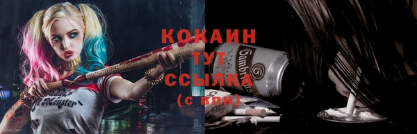 дживик Арсеньев